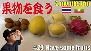 #29【タイのフルーツ４種】を食べる。値段は？めっちゃシブいのはどれ？マンゴーは甘い！Eat some Thai fruits in Chiang mai (how much?)