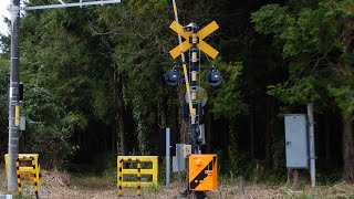 【踏切】JR常磐線　森を抜けた先にある踏切 (Railroad crossing in Japan)