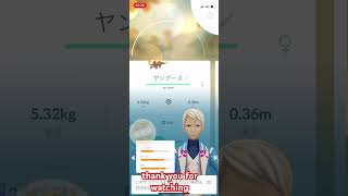 ヤングースのスポットライトアワー大量ゲットで色違いを目指す！#ポケモンgo #ポケモンgoplus #ポケgo #ポケモン #イベント #pokemon #色違い #色違いポケモン