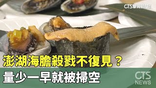 澎湖海膽殺戮不復見？　量少一早就被掃空｜華視新聞 20230701