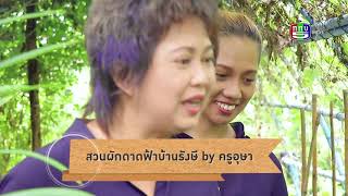 เกษตรสนามเป้า EP.42 | 17 ธ.ค.2560