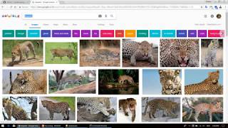 Download multiple photo from google search engine.