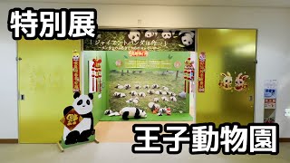 王子動物園🐼 特別展「ジャイアントパンダは今・・・」～タンタンのふるさとからのメッセージ～🐼