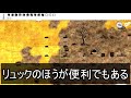 【ohol】生まれてすぐに姉の身代わりになることを義務付けられた男【one hour one life】