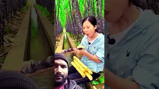 SO GOOD SUGARCANE #viralshort #sugarcane #kungfu #sugarcanefarm