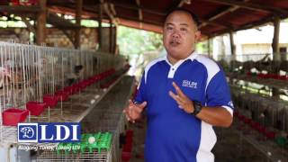 AGRITV JUNE 18 ep  GAMEFOWL MANAGEMENT