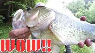 An Afternoon of HUGE BASS / Plus The Nano Crappie Comes Through Again!!