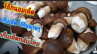 วิธีถนอมเห็ดผึ้งหวาน ไว้กินนานๆ เอาไว้กลับไทย ทำแบบไหน