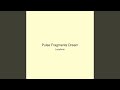 Pulse Fragments Dream