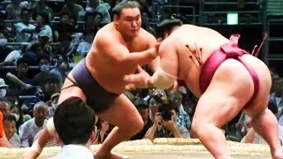 Nagoya Basho 2024 Day 8 Daieisho vs Hoshoryu