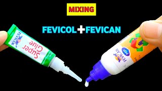 MIXING FEVICOL + FEVICAN | Will It Make Super Glue?