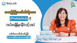 အကျိုးပြုဘက်တီးရီးယား (Probiotics)အကြောင်း