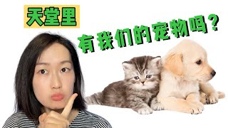 天堂里能见到我们养过的的宠物吗？【天堂系列三】