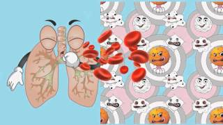Bloodborne Pathogens - Workplace Dangers and Disease Prevention