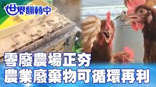 零廢農場正夯 農業廢棄物可循環再利用 世界翻轉中 20240922