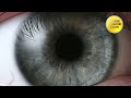 🎧 get stunning silver grey eyes in 10 minutes subliminal affirmations booster real results daily