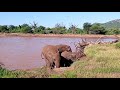 DISCOVER SAMBURU NATIONAL PARK WITH NATURAL WORLD KENYA SAFARIS