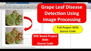 Grape Leaf Disease Detection Using Image Processing Code | Leaf Disease Detection Using Matlab Code