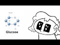 grian needs more glucose mcc animatic