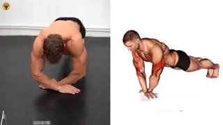 BEST PUSH UP AND FAST RESULT