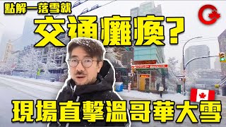 溫哥華大雪有幾大？全日停課停工 交通受阻 剷雪車有冇出現？肥Sam 遊溫哥華市中心