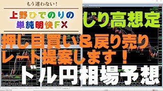 ドル円、米国雇用統計発表前まで、じり高推移か。押し目買い、戻り売りレート提案します！【MT4フィボナッチFX】