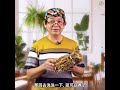 【hokkien】速宝儿免煮【增高宝】非常方便省时间！为孩子长高加油吧！