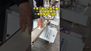 #machine #仿手工包子机