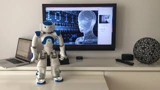 Nao Robot: Python AI Robotics Project