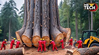 Extreme Dangerous Fastest Big Chainsaw Cutting Tree Machines | Monster Stump Removal Excavator #60