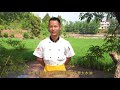 chef wang shares how to become a qualified chef talk about my own experience