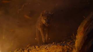 The hyena's belly is never full