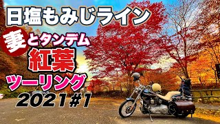 【妻テンション爆発】［日塩もみじライン］紅葉ツーリング2021＃1【モトブログ】ハーレー ダビッドソン｜Harley-Davidson Softail Standard FXST