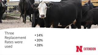 Pricing replacement heifers
