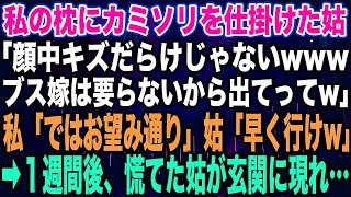 【スカッとする話】私の枕にカミソリを仕掛けた姑「顔中キズだらけじゃないwwwブス嫁は要らないから出てってw」私「ではお望み通り」姑「早く行けw」➡︎１週間後、慌てた姑が玄関に現れ…