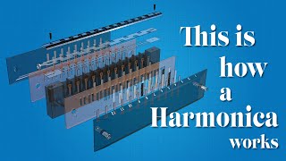 How a Harmonica Works ?