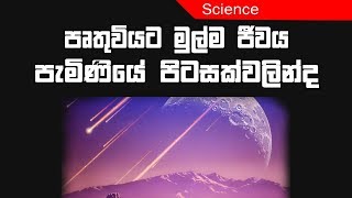 EP41 - පෘතුවියට ජීවය පැමිණියේ පිටසක්වලින්ද ? Does life on earth came from space ?