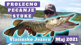 Spring Fishing for Pike on Vlasina Lake