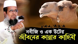 নবীজি ও এক উটের জীবনের কান্নার কাহিনী । তোফাজ্জল হোসেন ভৈরবী । tofazzal hossain bhairovi |Bangla Waz