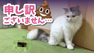 【閲覧注意】アレを落としまくってバリカンの刑を執行される猫【おしゃべりする猫】 【猫アテレコ】