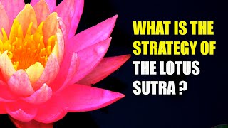 What is The Strategy of The Lotus Sutra | Nichiren Buddhism