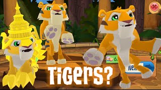 Play Wild Update - SPARKLING TIGERS AND FRUITY HATS