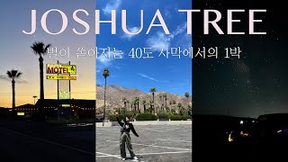 🇺🇸40도 사막에서 1박🏜️LA근교 조슈아트리국립공원 숙소추천🌵쏟아지는별세례와 은하수..미국서부여행,캘리포니아,로드트립,USA,California vlog,여행브이로그