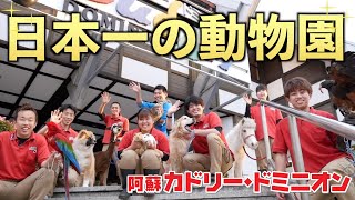 【新企画始動】日本一の動物園をつくります！