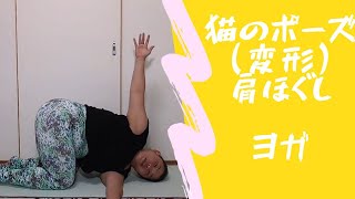 猫のポーズ【変形】　ヨガ～肩まわりのコリほぐしで、頭痛解消♪～