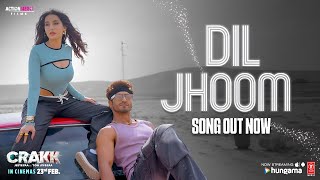Dil Jhoom (Song) | Slowed and Reverb Vidyut Jammwal | Nora Fatehi | #diljhoom #hindisongs2024
