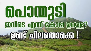 🌿 Explore Paradise: Must-See Sights and Experiences in and Around Ponmudi | Kerala Tourism 🌄