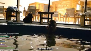 Ice Poseidon says Antarctica trip is over