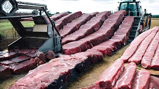 ¿Cómo Es Posible Que Holanda Produzca Toneladas de Carne y No Mate Animales?