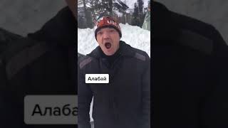 жесть алабай злой покусает #жесть #собака #укус